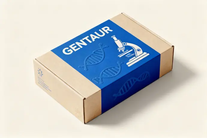 CD99 Clone TU12, Isotype IgG2a, 250nm magnetic beads